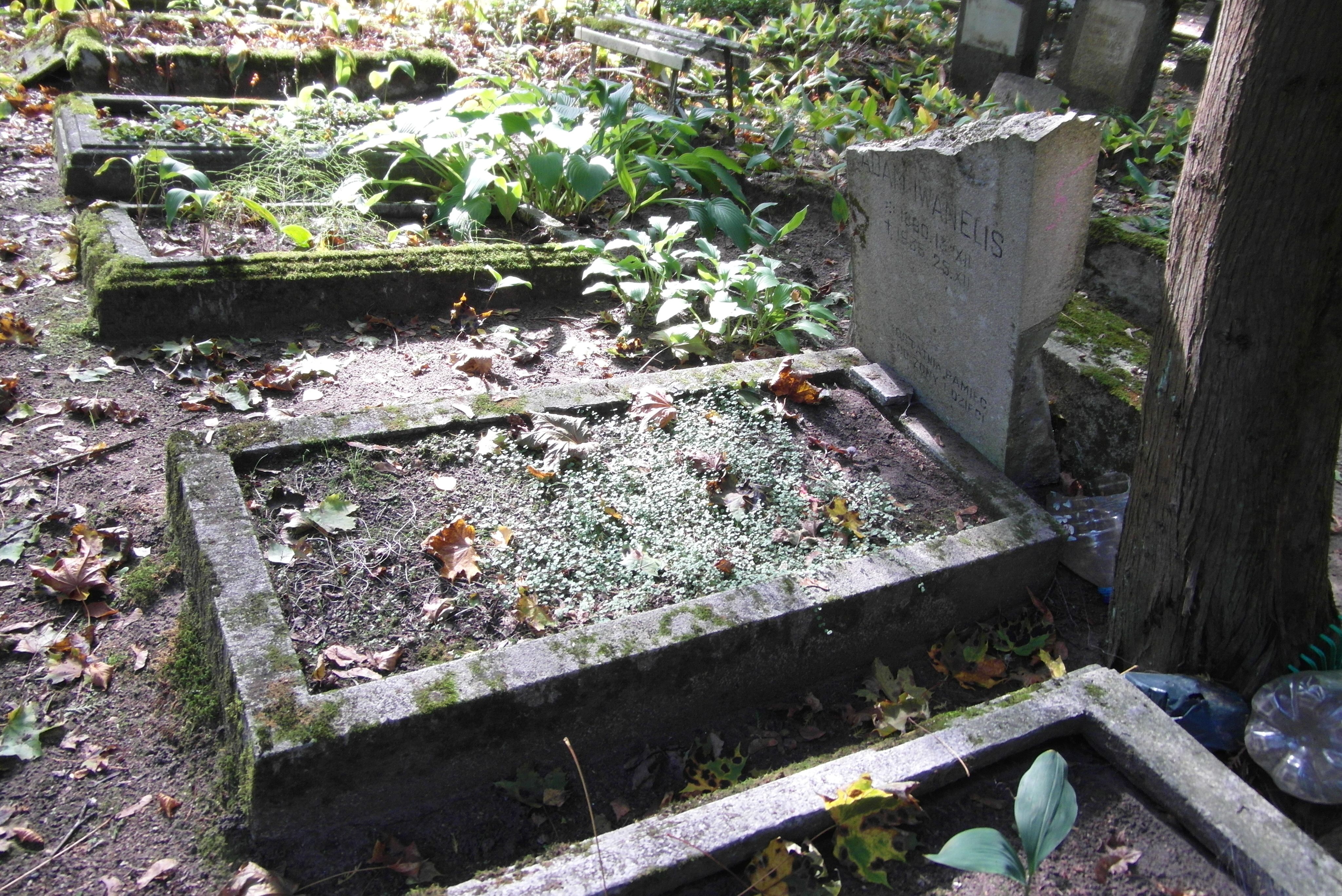 Nagrobek Adama Iwanelisa, cmentarz św. Michała w Rydze, stan z 2021 r.
