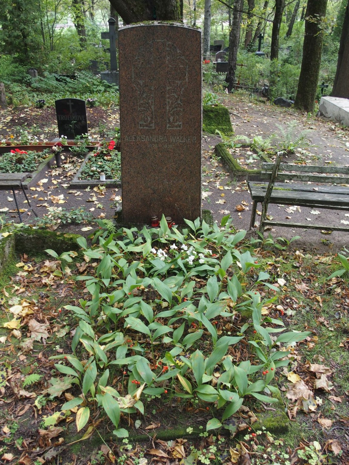 Tombstone of Alexandra Walker, St Michael's cemetery in Riga, as of 2021.