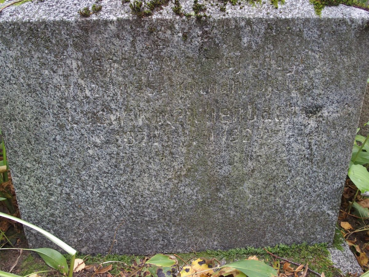 Napis z nagrobka Ludwika Reichenbacha, cmentarz św. Michała w Rydze, stan z 2021 r.