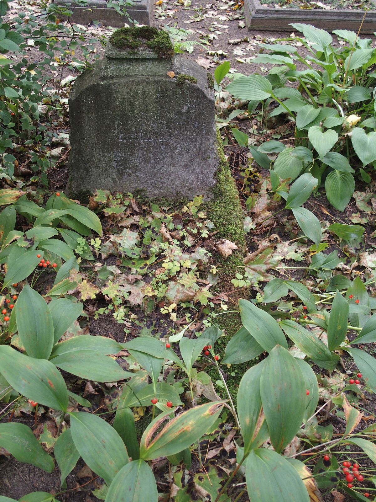 Tombstone of N.N. Dolinski, St Michael's cemetery in Riga, as of 2021.