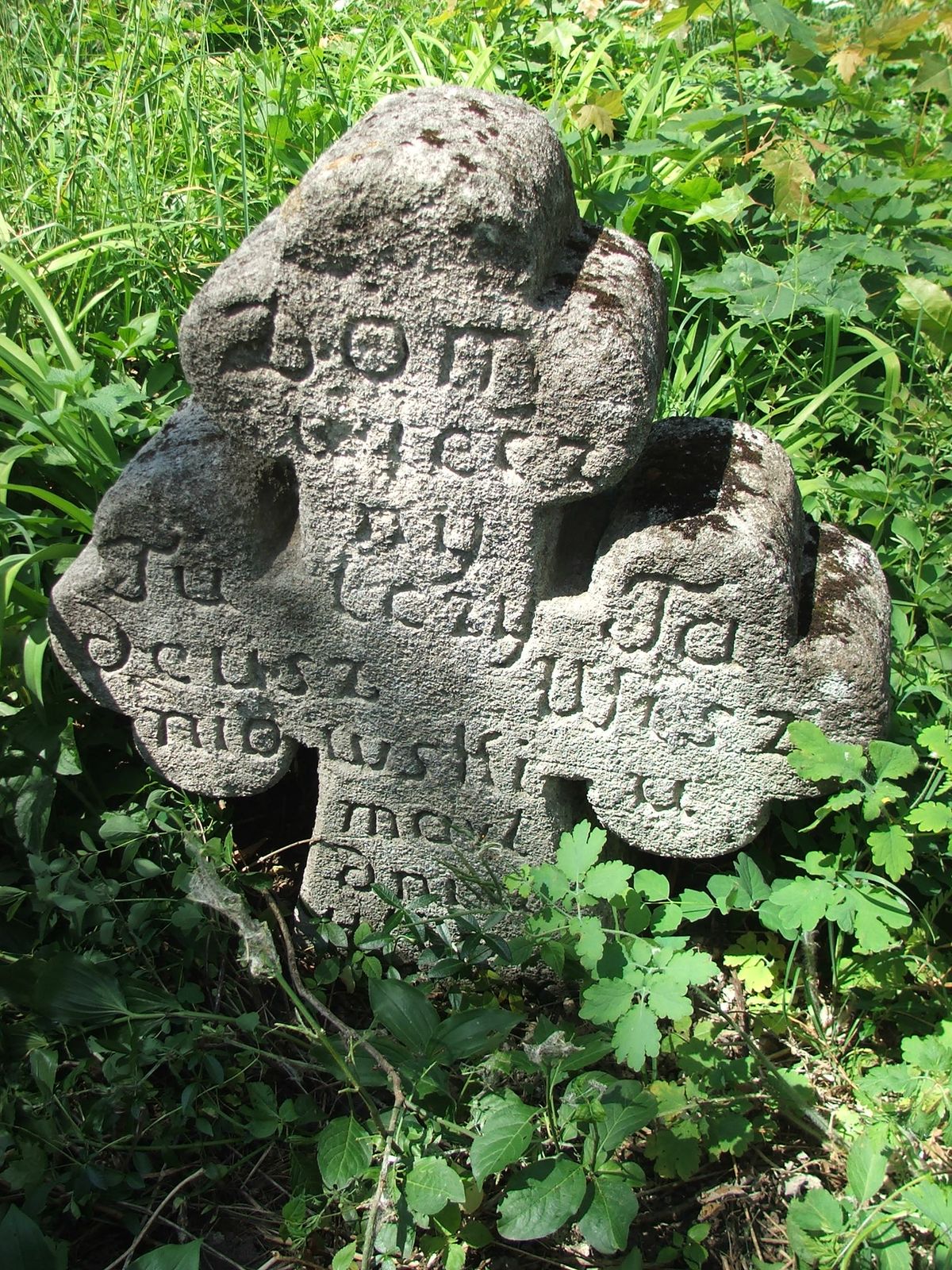 Nagrobek Tadeusza Wiszniowskiego, cmentarz w Zbarażu, stan z 2018