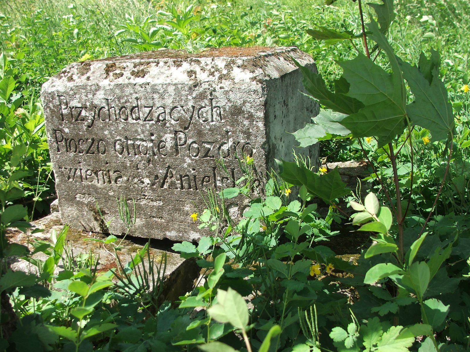 Tombstone of N.N., Zbarazh cemetery, state of 2018