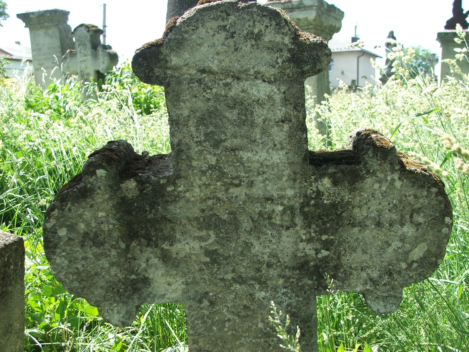 Fragment of the tombstone of Lawrence N.N., Zbarazh cemetery, state of 2018