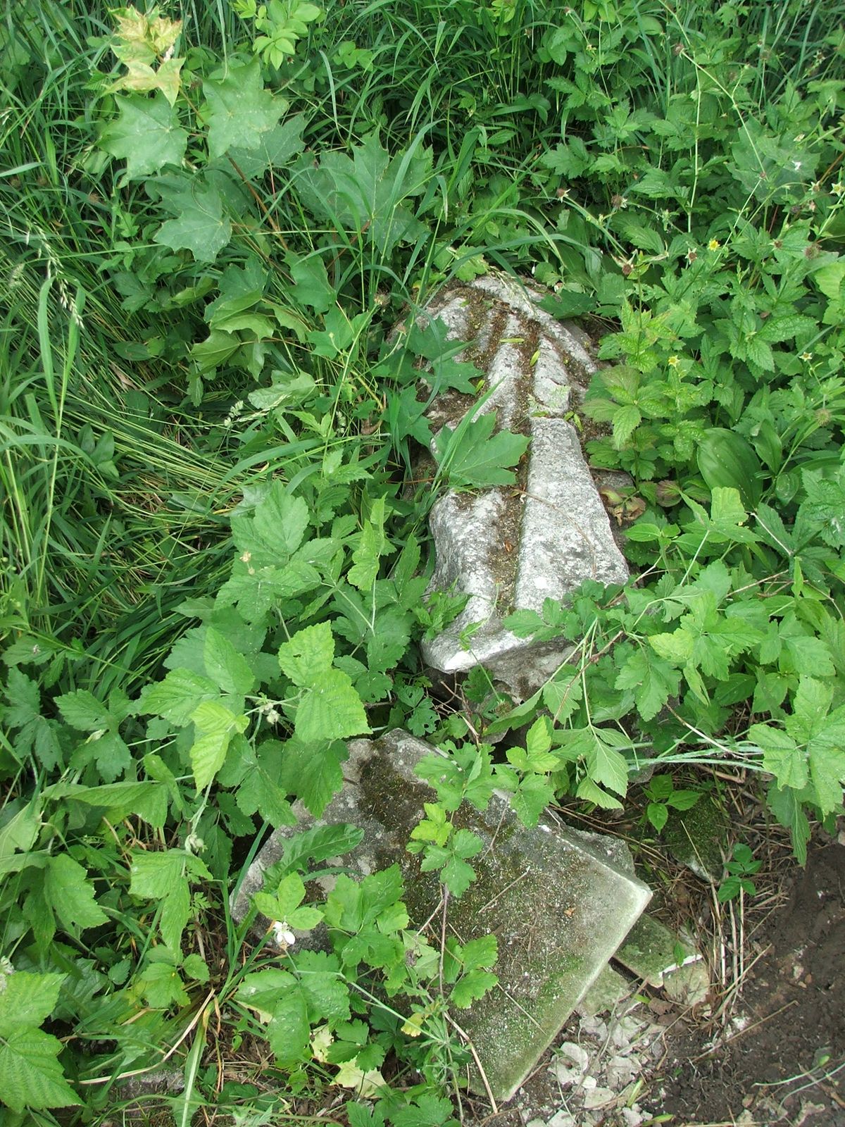 Tombstone of Jan N.N., Zbarazh cemetery, state of 2018