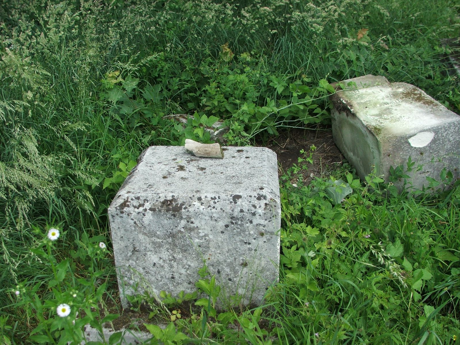 Tombstone of Jan N.N., Zbarazh cemetery, state of 2018