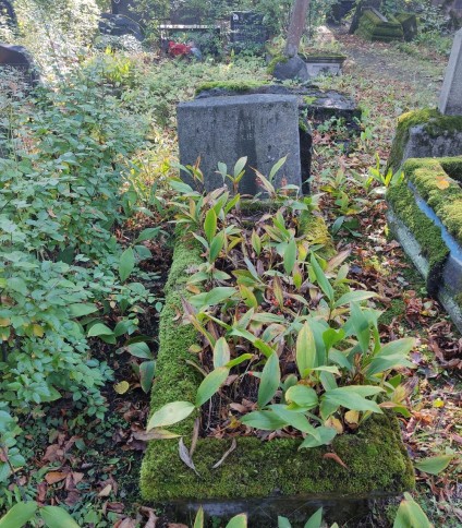 Nagrobek Józefa Banialisa