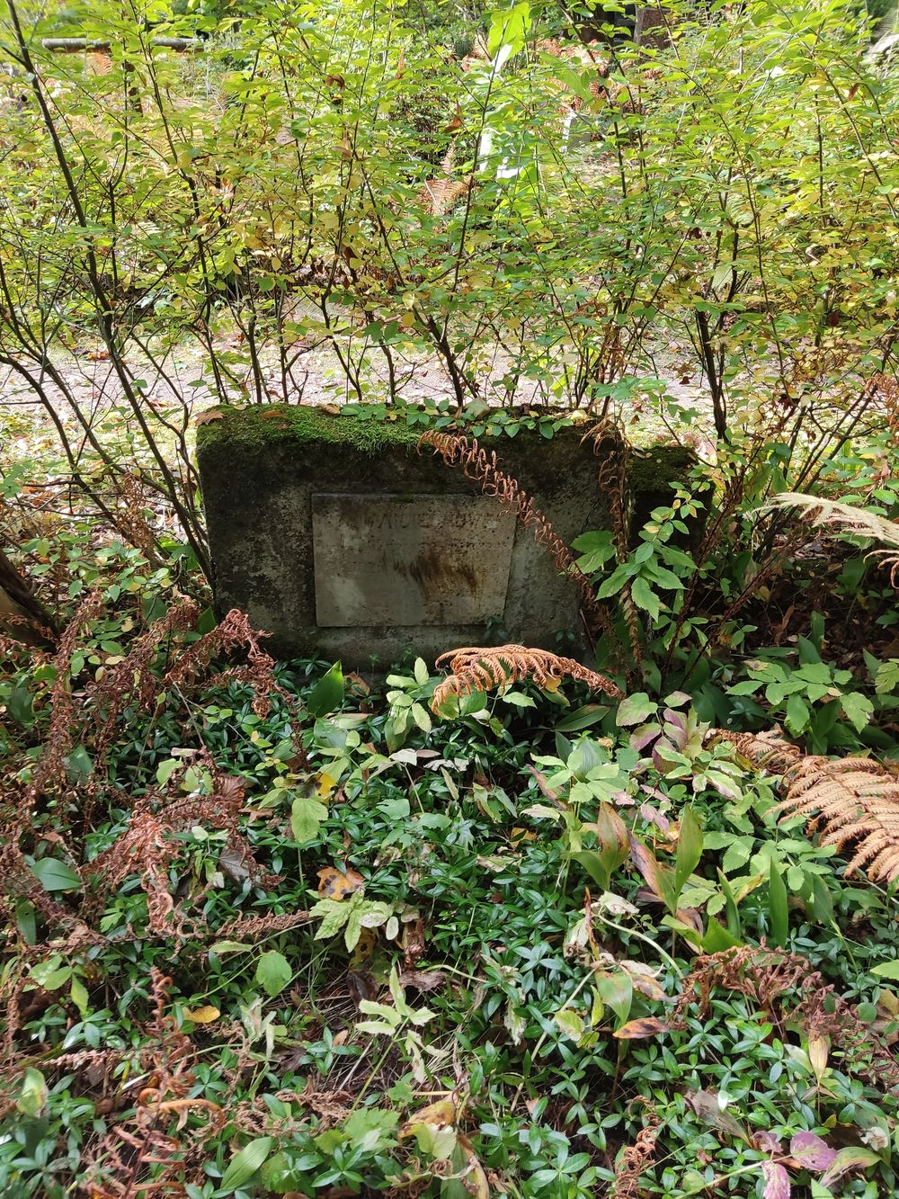 Tombstone of Jozef Waiciechowski