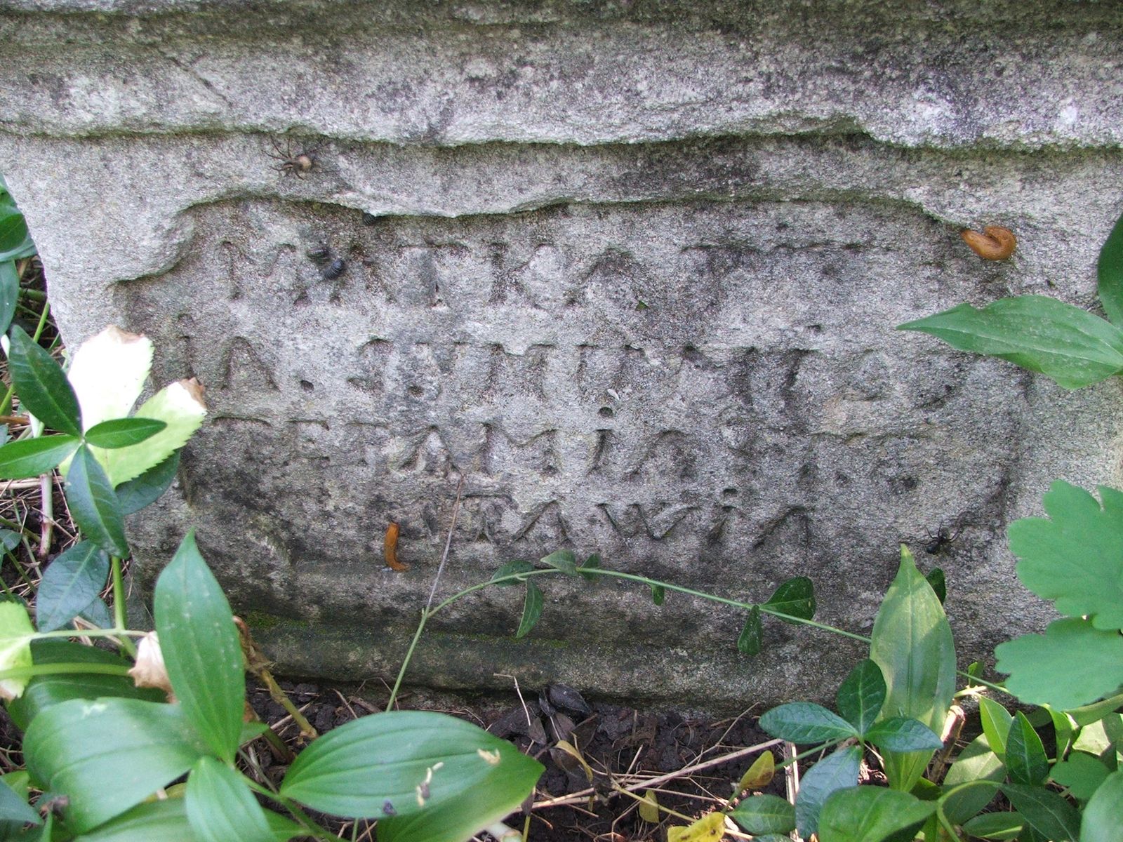 Tombstone of Feliks Demeinski, Zbarazh cemetery, state of 2018