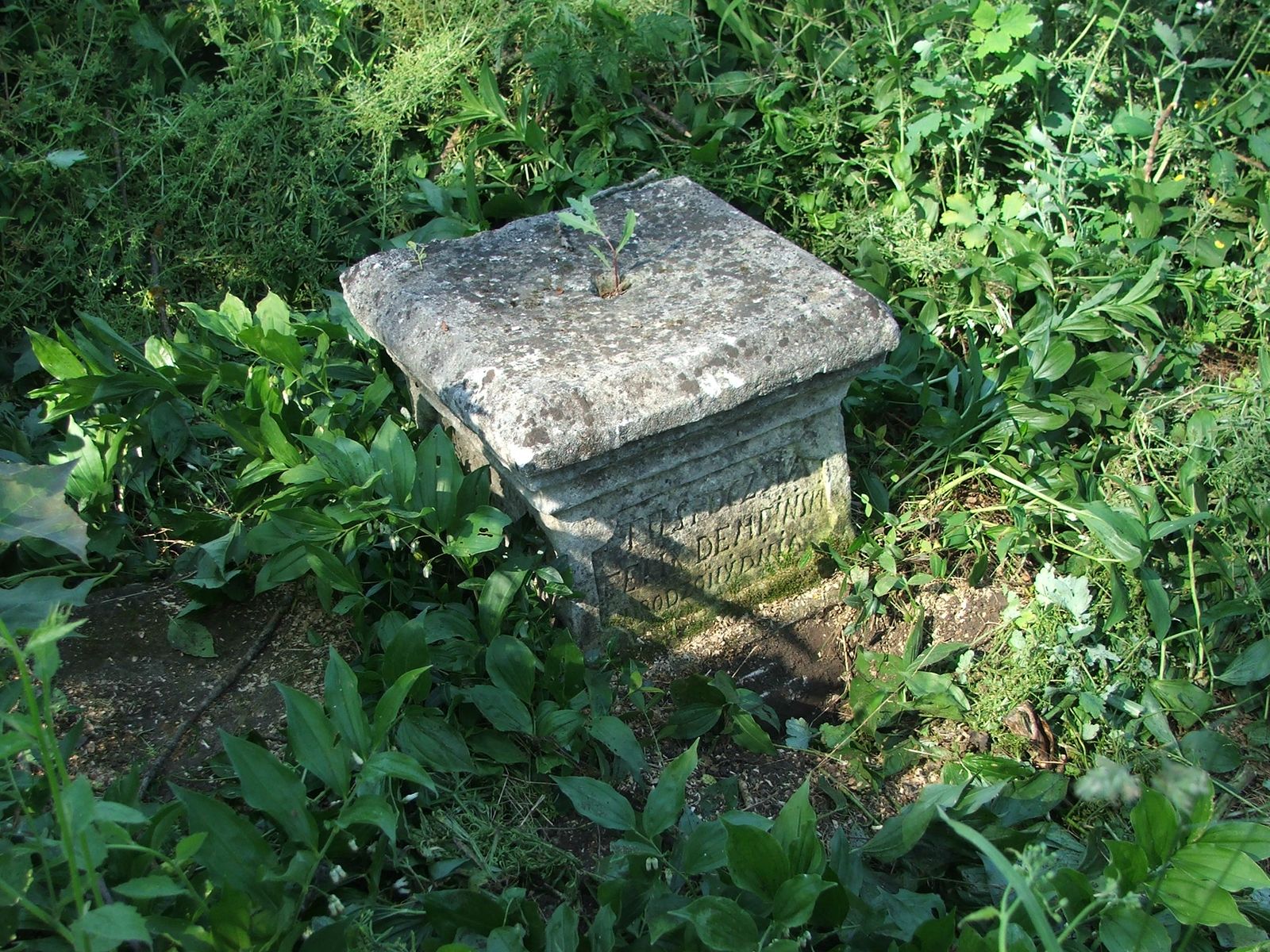 Tombstone of Feliks Demeinski, Zbarazh cemetery, state of 2018