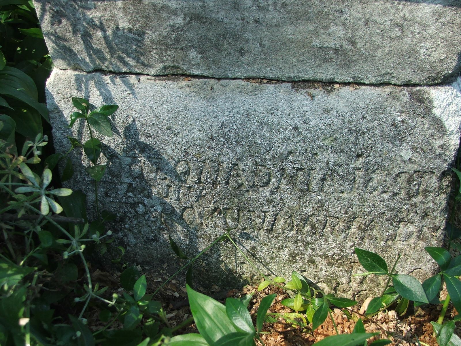 Tombstone of N.N., Zbarazh cemetery, state of 2018