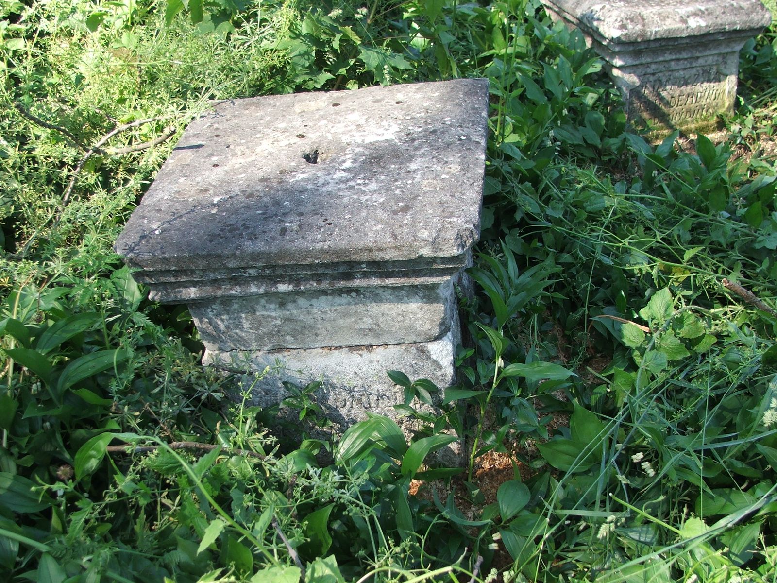 Tombstone of N.N., Zbarazh cemetery, state of 2018