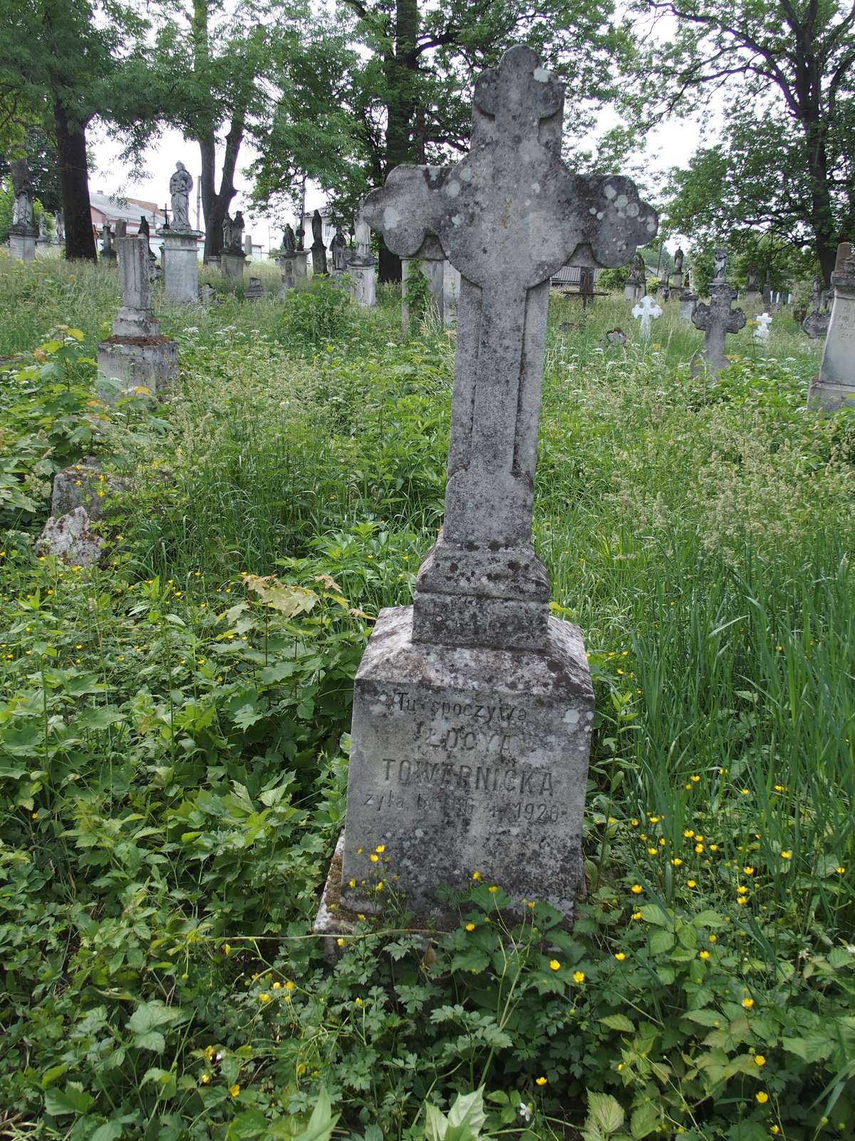 Tombstone of Lucja Towarnicka, Zbarazh cemetery, as of 2018.