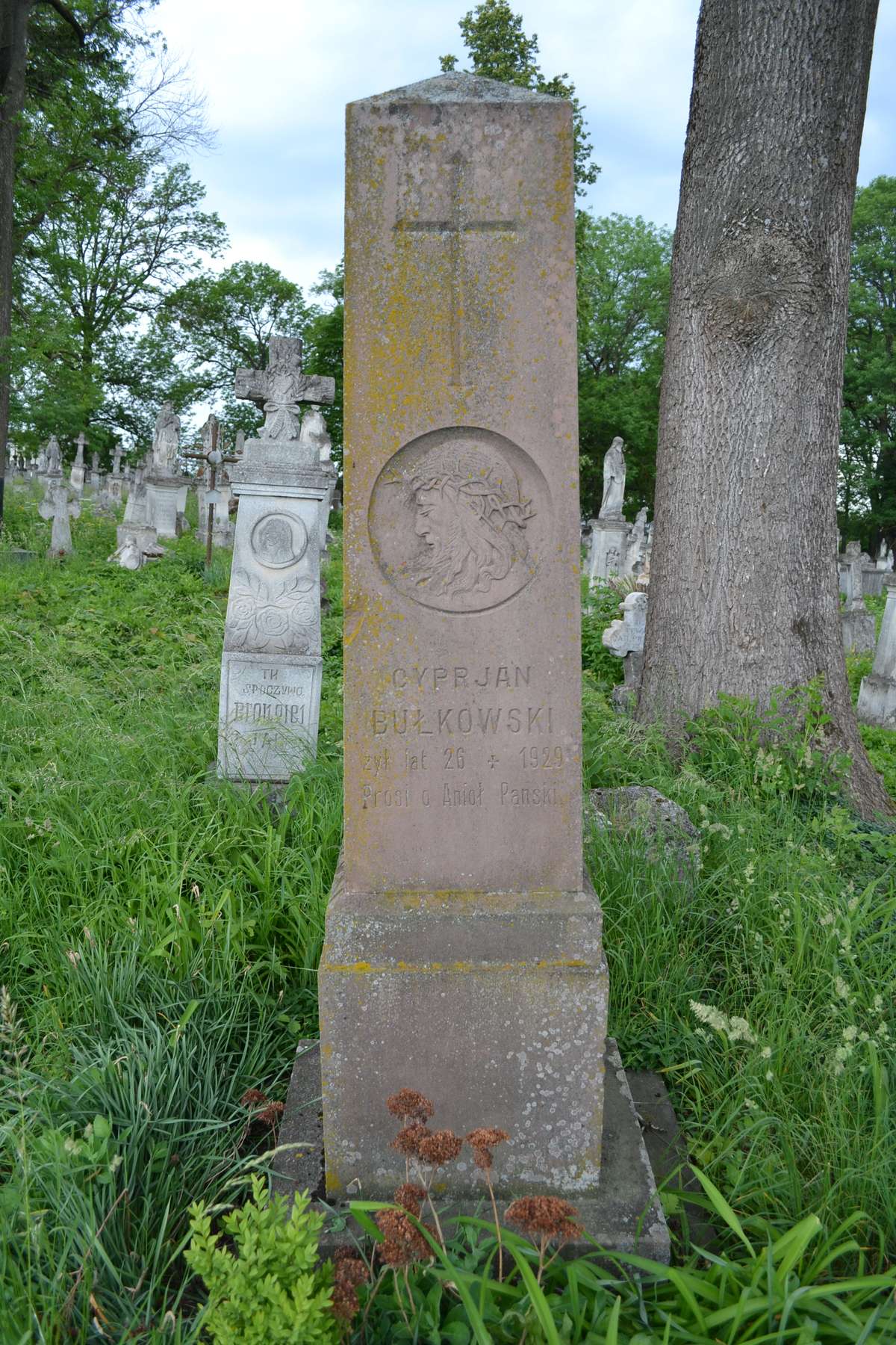 Nagrobek Cypriana Bułkowskiego, cmentarz w Zbarażu, stan z 2018 roku