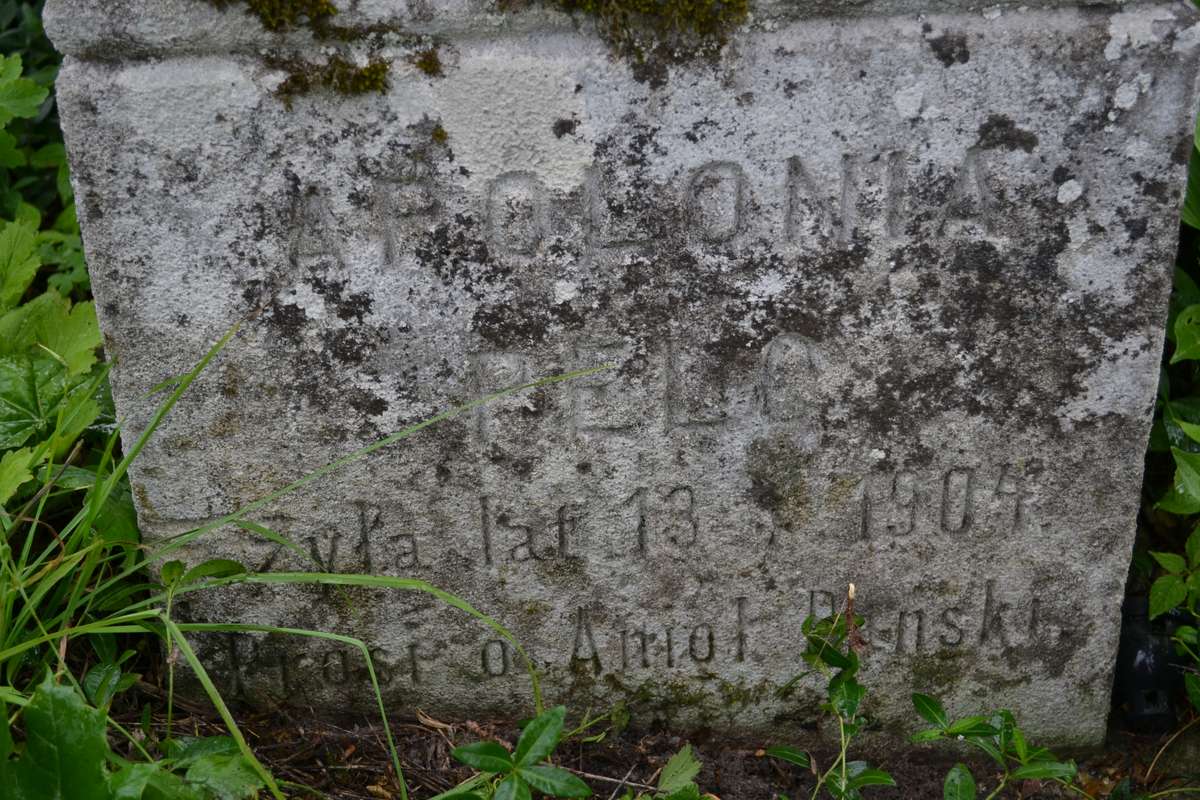 Fragment of the tombstone of Apolonia Pelc, Zbarazh cemetery, as of 2018