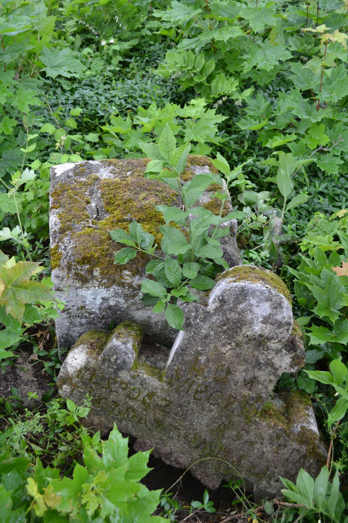 Fragment nagrobka Eran Ciszki, cmentarz w Zbarażu, stan z 2018 roku