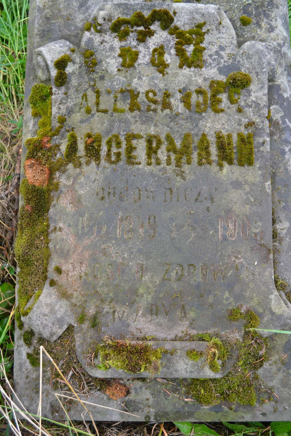 Slab of Alexander Angermenn, Zbarazh cemetery, state of 2018