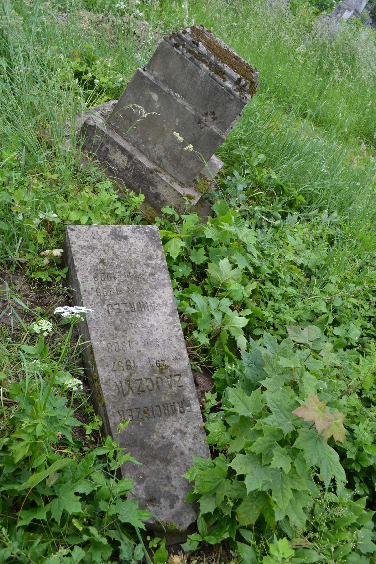 Tombstone of Franciszek and Andrzej Zajczyk, Zbarazh cemetery, state of 2018