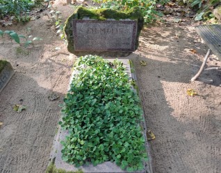 Nagrobek rodziny Zimeł