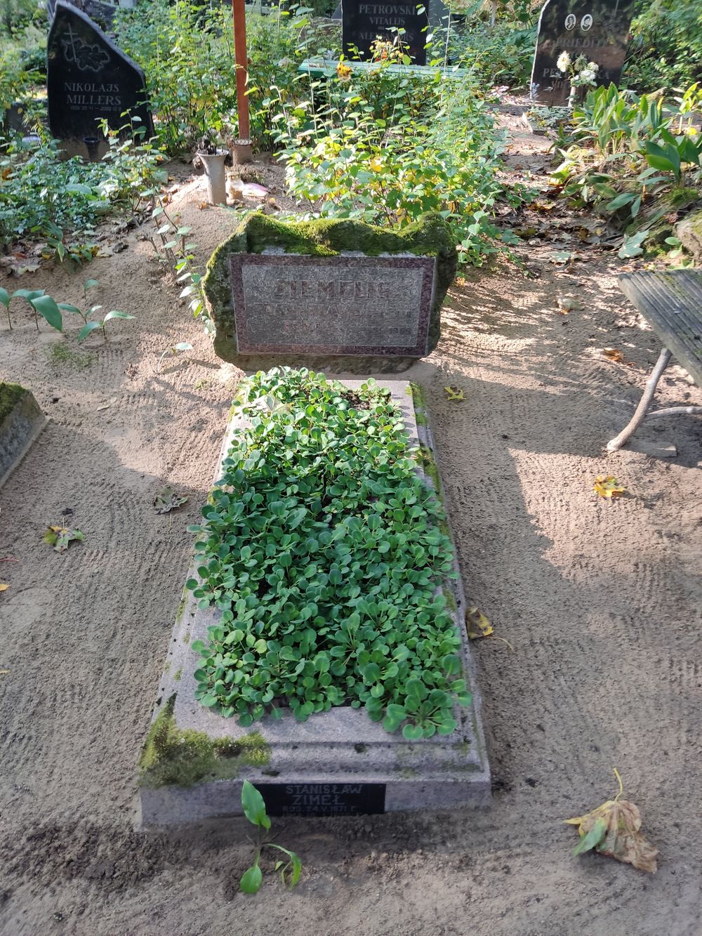 Tombstone of the Zimeł family