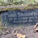 Fotografia przedstawiająca Tombstone of Anna Sokolowska