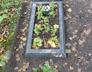 Nagrobek Jana Sawickiego