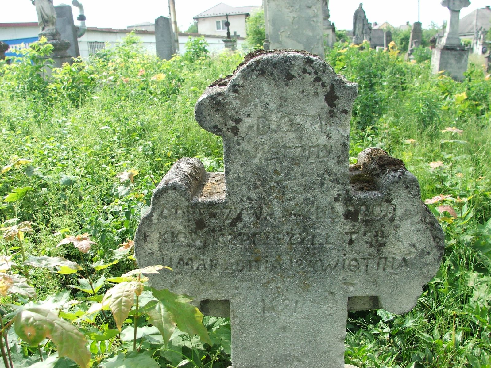 Tombstone of Jakub Pronkiewicz, Zbarazh cemetery, as of 2018