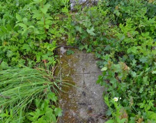 Nagrobek Franciszki Szuber, cmentarz w Zbarażu, stan z 2018