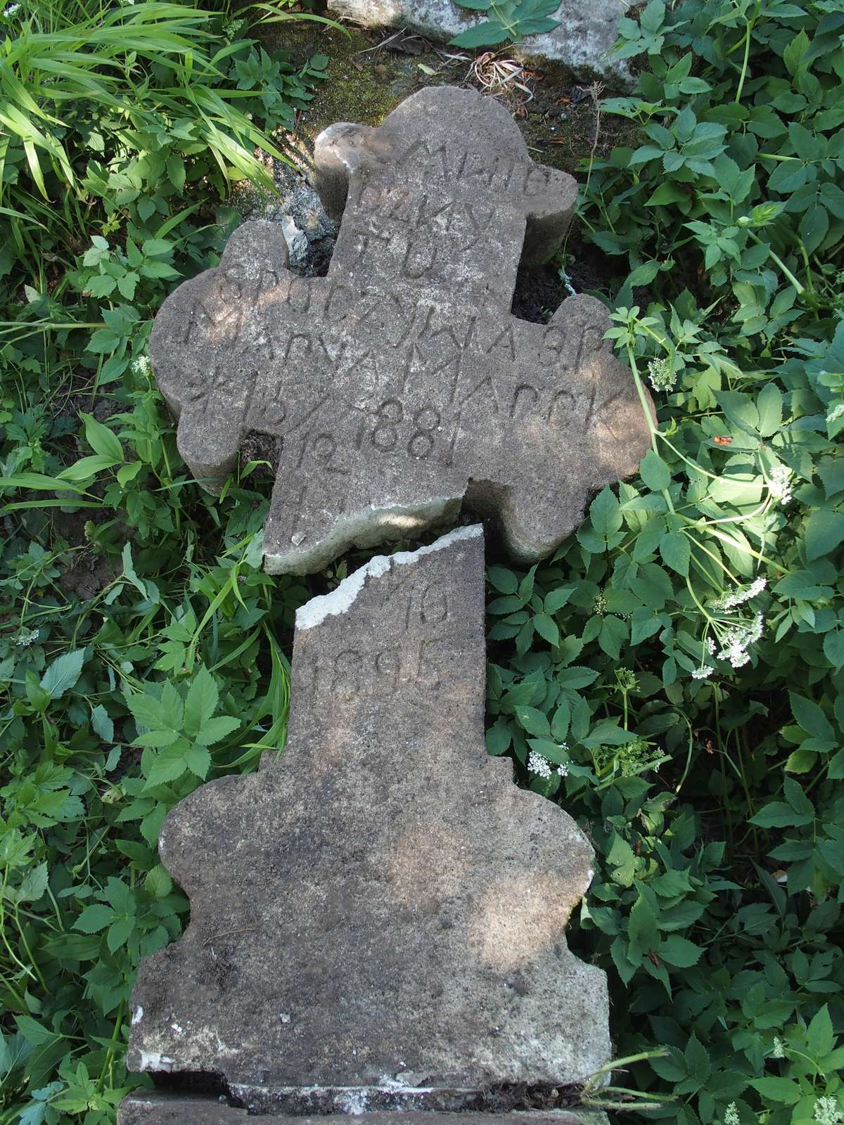 Maria Marek's tombstone, Zbarazh cemetery, as of 2018.