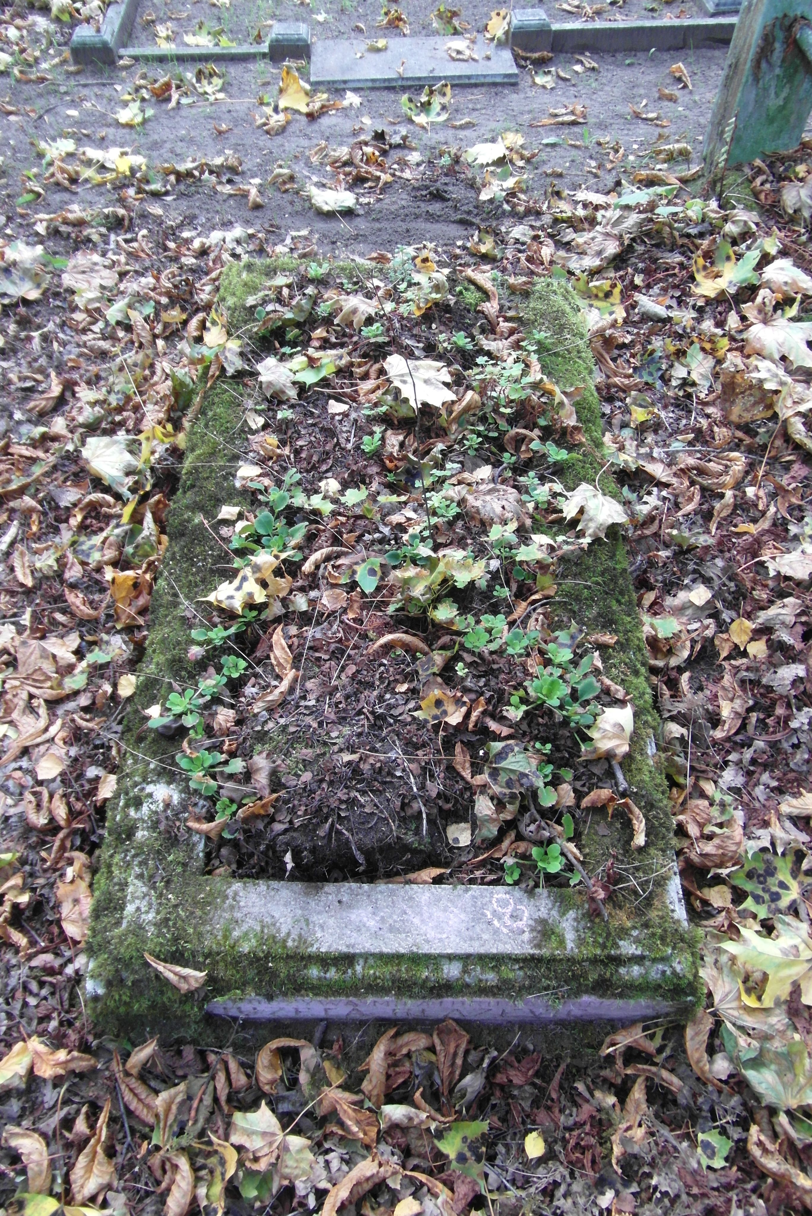 Tombstone of Jozefa Blazevic (Blazevic), St Michael's cemetery in Riga, as of 2021.