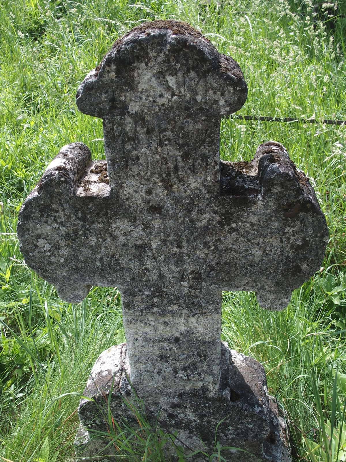 Tombstone of N.N. Polak, Zbarazh cemetery, as of 2018.