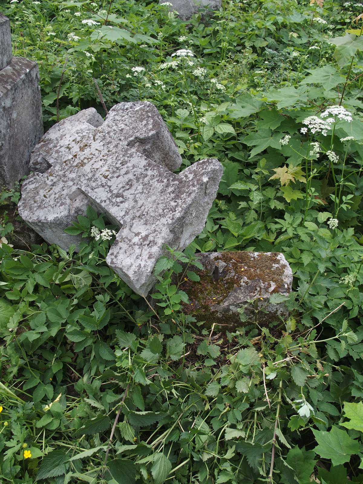 Tombstone of Jozef Krasnopolski, Zbarazh cemetery, as of 2018.