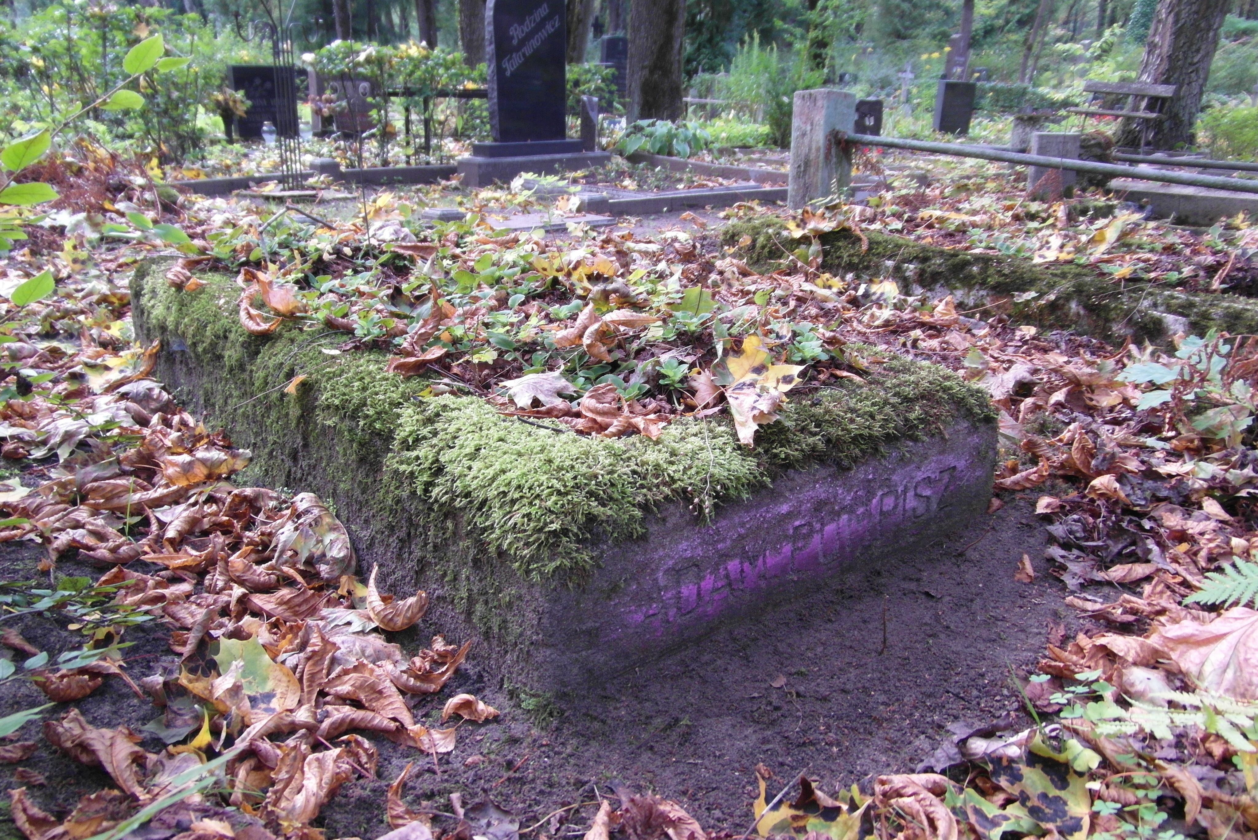 Nagrobek Adama Pumpisza, cmentarz św. Michała w Rydze, stan z 2021 r.