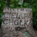 Photo montrant Tombstone of Magdalena Pachołek