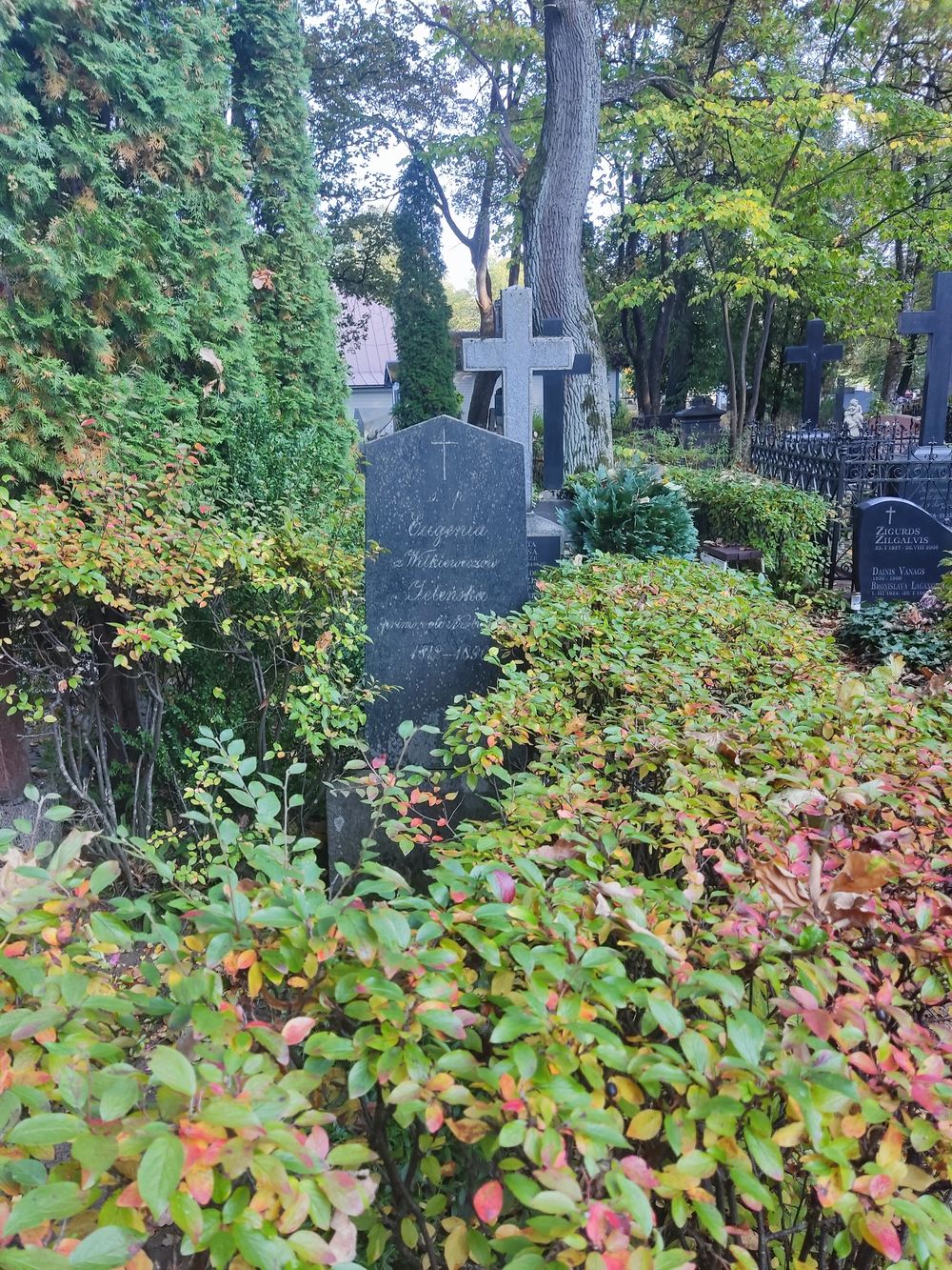 Tombstone of Eugenia Jeleńska, St Michael's Cemetery, Riga