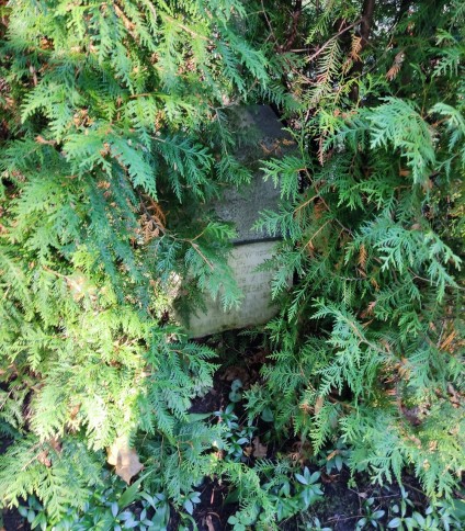 Nagrobek rodziny Andrzejewskich