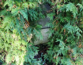 Nagrobek rodziny Andrzejewskich