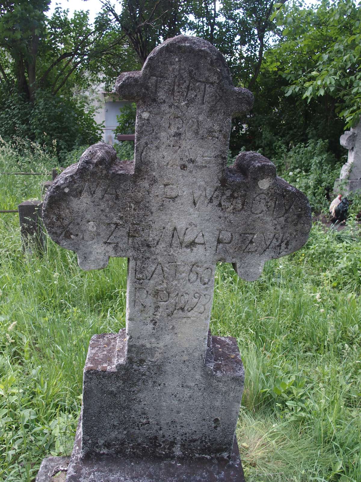 Tombstone of Wojciech Szpunar, Zbarazh cemetery, as of 2018.