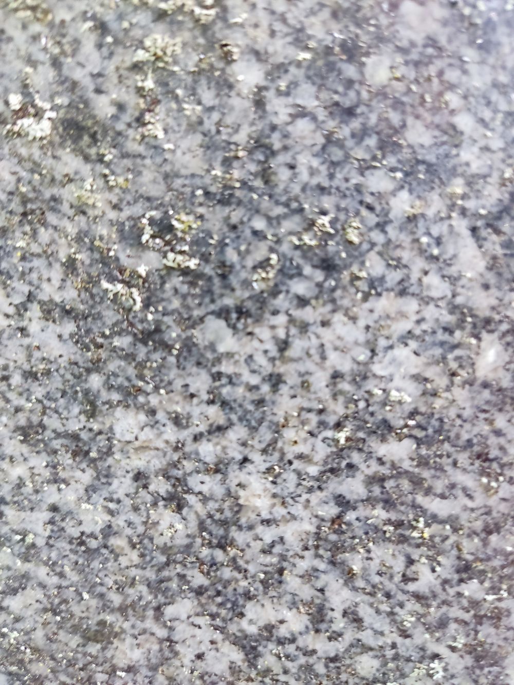Materiał (granit), z którego wykonano nagrobek Marka Skirgajłło na cmentarzu św. Michała w Rydze, stan z 2022 r