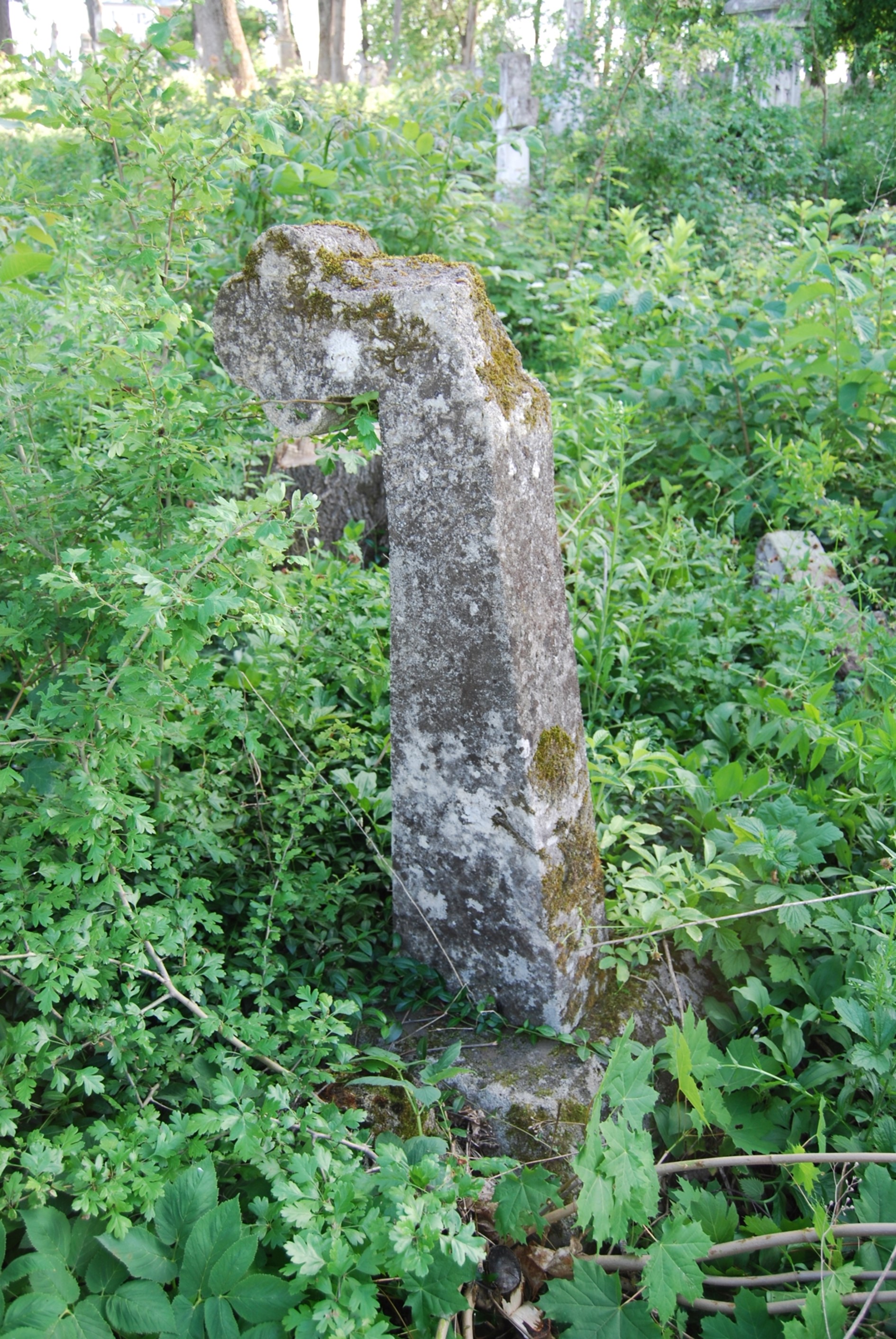 Tombstone of Jan N.N., Zbarazh cemetery, state of 2018