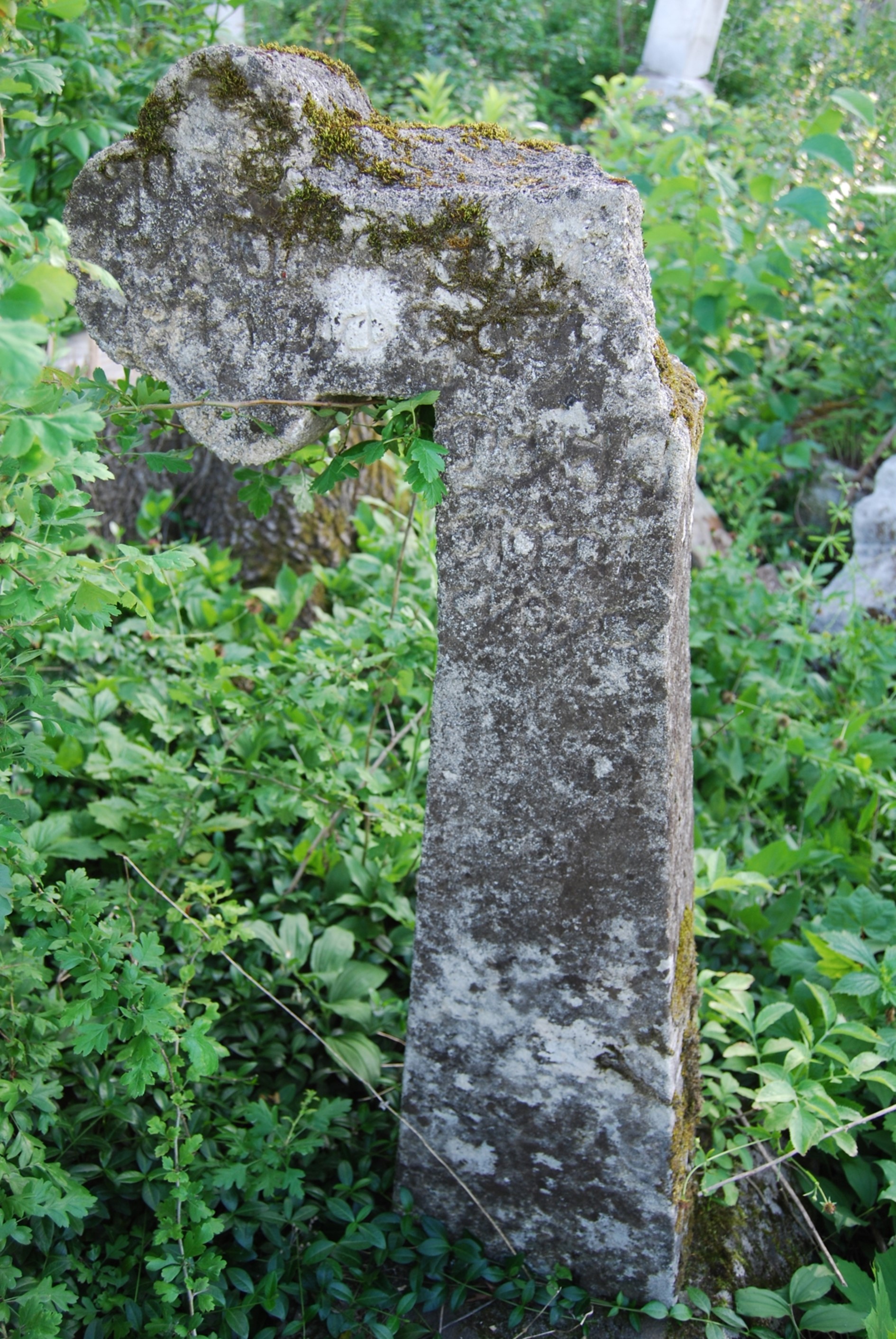 Tombstone of Jan N.N., Zbarazh cemetery, state of 2018