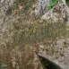 Fotografia przedstawiająca Nagrobek N.N.