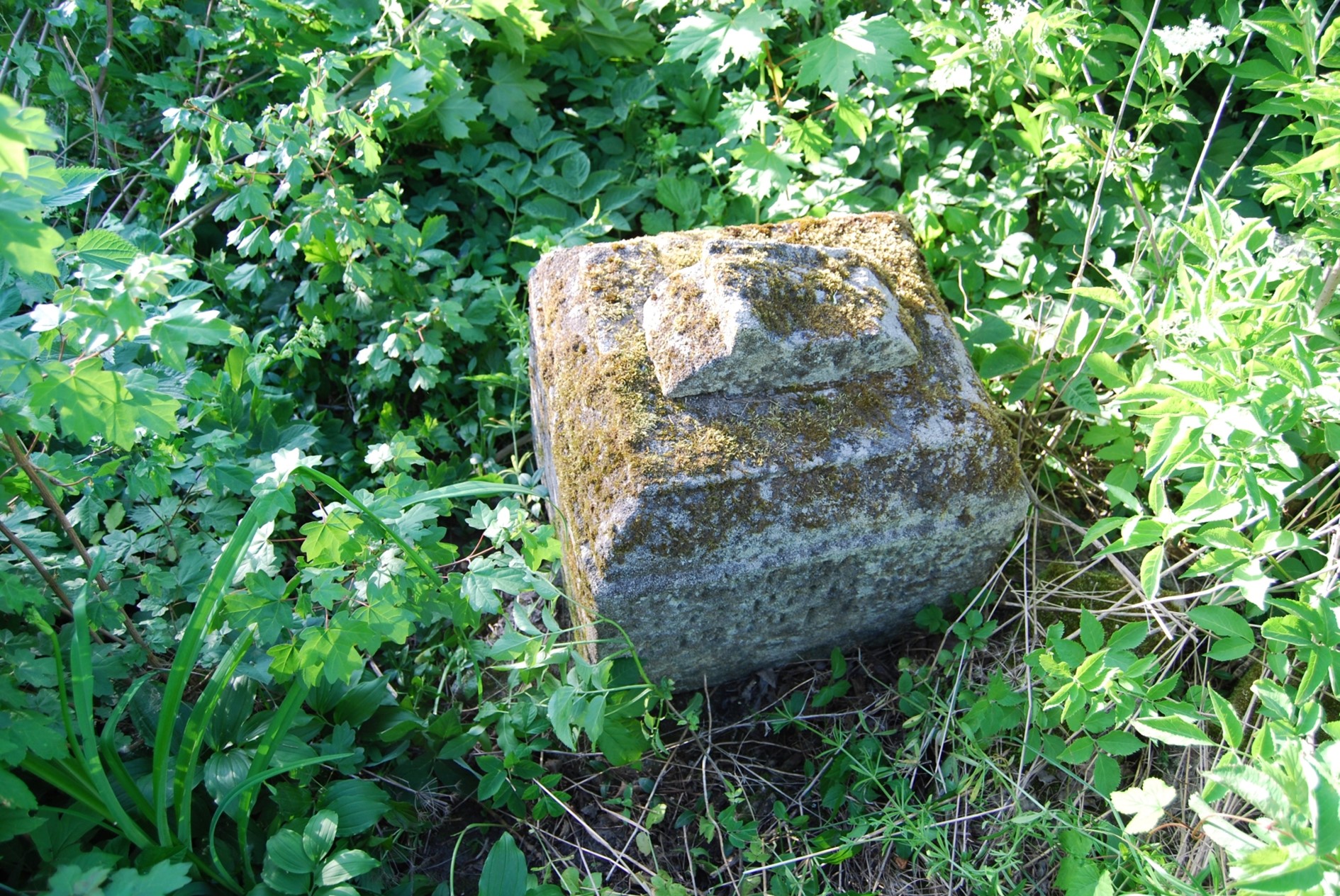 Tombstone of Mylk Zaburski, Zbarazh cemetery, as of 2018