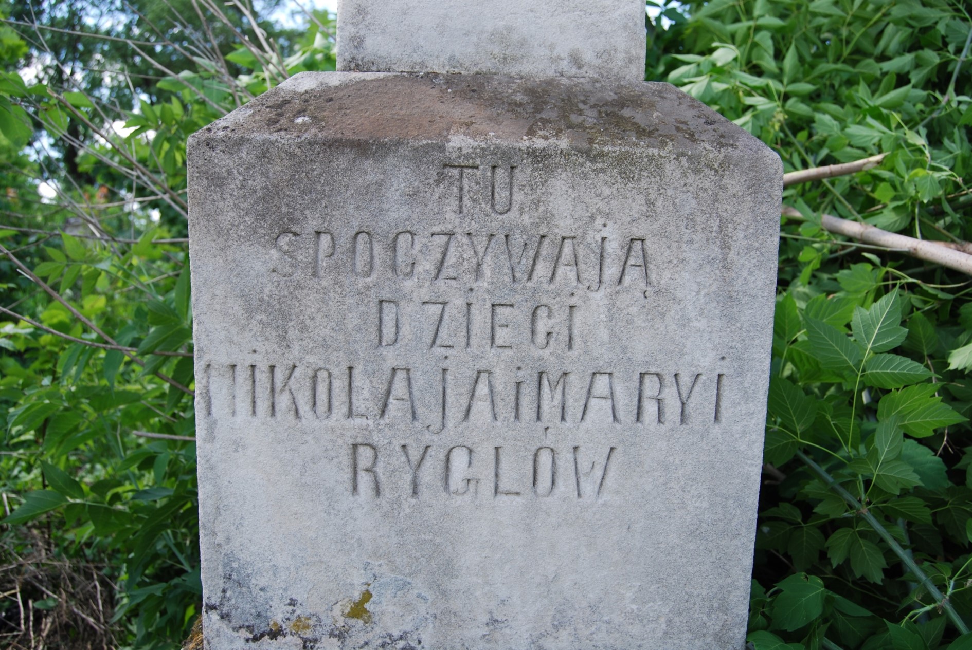 Фрагмент надгробка родини Ригелів, Збаразьке кладовище, стан на 2018 рік