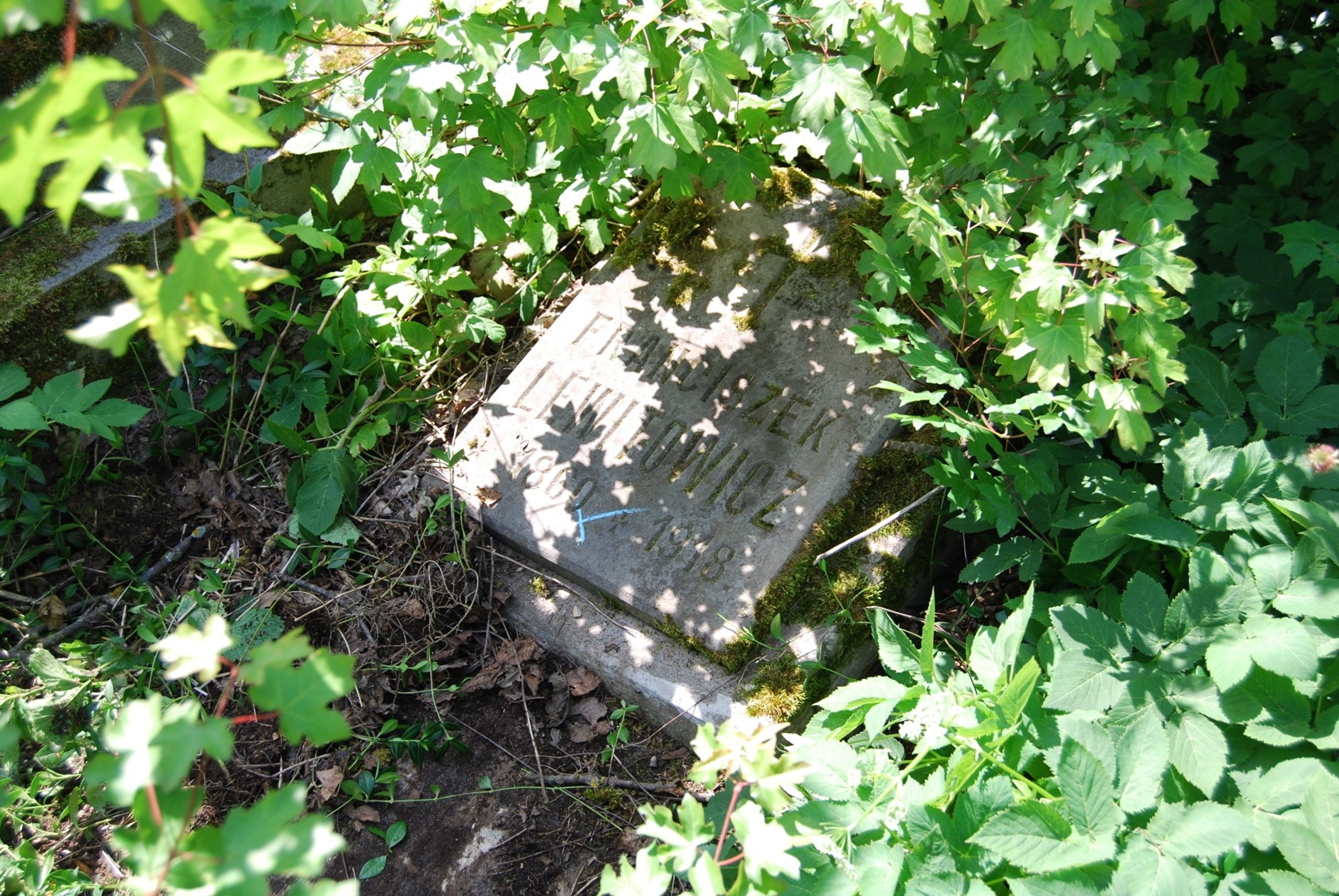 Tombstone of František Levitovich, Zbarazh cemetery, as of 2018
