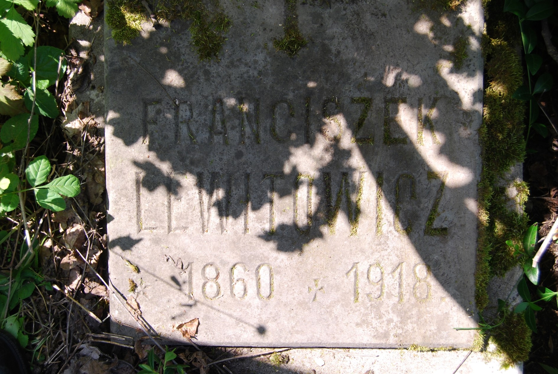 Tombstone of František Levitovich, Zbarazh cemetery, as of 2018