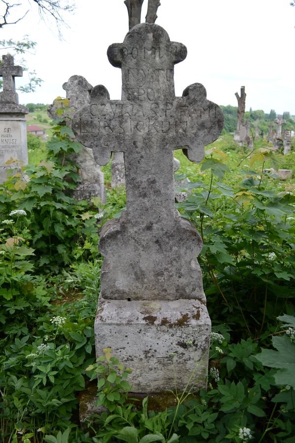 Tombstone of the Sieka family, Zbarazh cemetery, state of 2018