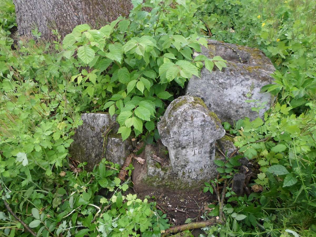 Tombstone of Lucja Szpyci, Zbarazh cemetery, state of 2018