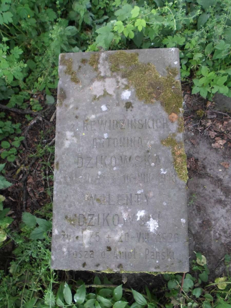 Inscription of the tombstone of Antonina and Valentin Dzikowski, Zbarazh cemetery, as of 2018