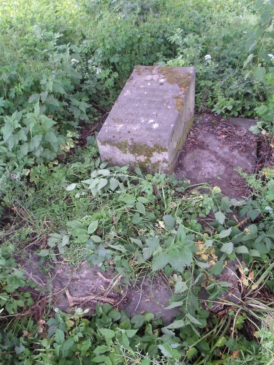 Tombstone of Antonina and Valente Dzikowski, Zbarazh cemetery, state 2018