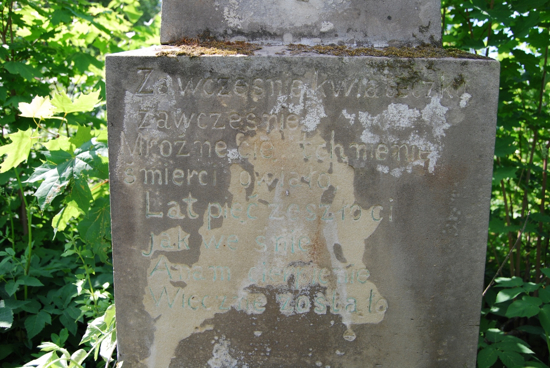 Fragment of the tombstone of Edward Zawierucha, Zbarazh cemetery, as of 2018